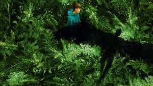 The Animal Kingdom