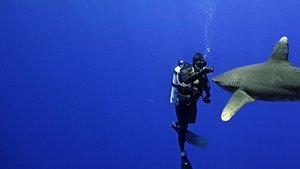 World's Most Dangerous Shark?
