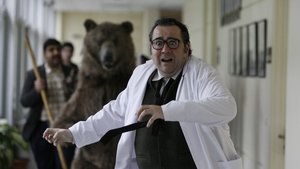 Niyazi Gül Dörtnala