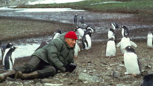 Voyage au bout du monde