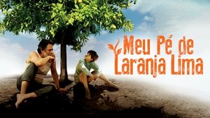 Meu Pé de Laranja Lima