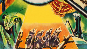 La Parcela de la Naturaleza