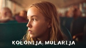 A Colony