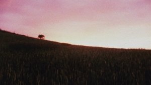 Horizons