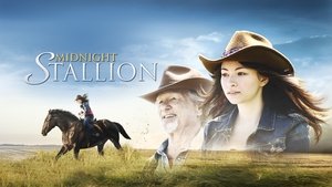 Midnight Stallion