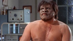 Night of the Bloody Apes