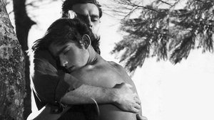 El chico y el viento