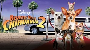 Un chihuahua en Beverly Hills 2
