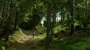 Wieża. Jasny dzień.