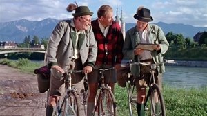 Immer die Radfahrer