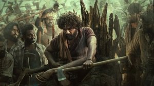 పుష్పా - The Rise