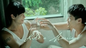 Like a Marriage