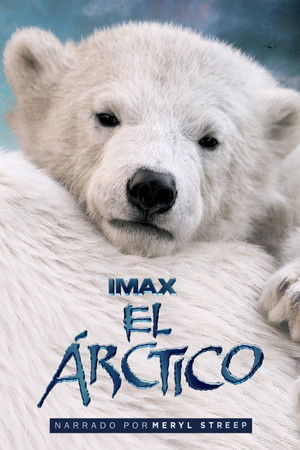 Osos Polares 3D: Ojos en el Hielo