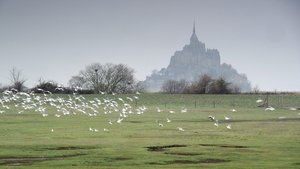 El monte Saint-Michel: el laberinto del arcángel