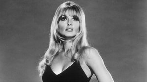 All Eyes on Sharon Tate