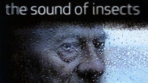 The Sound of Insects: Record of a Mummy