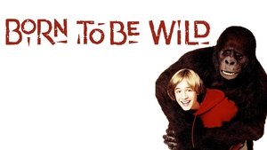 Born to Be Wild
