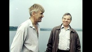 Не стреляйте в белых лебедей