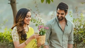 వరుడు కావలెను