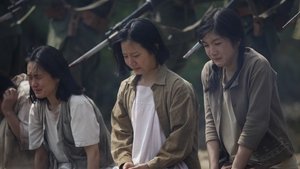 귀향, 끝나지 않은 이야기