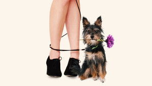 Gabe El Perro Cupido