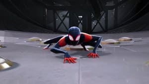 Spider-Man: un nuevo universo