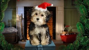 Navidad con los Buddies: En busca de Santa Can
