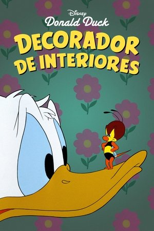 Decorador de inferiores