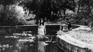 Love Stories of the Pale Night