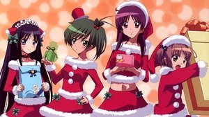 よつのは