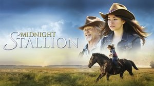 Midnight Stallion