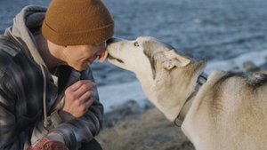 The Year of the Dog