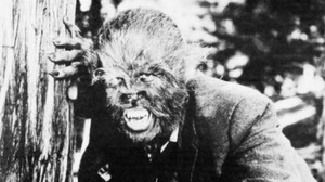 Los colmillos del lobo