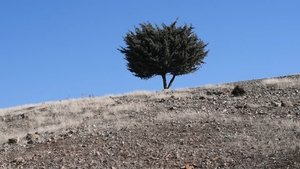 کجاست جای رسیدن؟