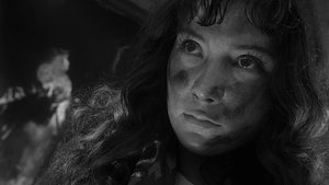 Cuando pasan las cigüeñas