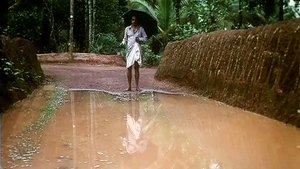 എലിപ്പത്തായം