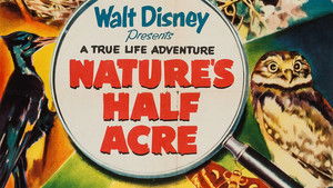 La Parcela de la Naturaleza