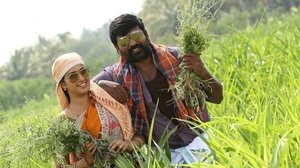 கருப்பன்