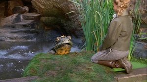 The Frog Prince