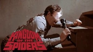Kingdom of the Spiders