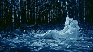 Rabbit's Moon