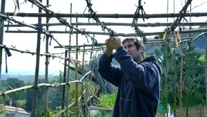 Le potager de mon grand-père