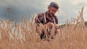 Farm Rebellion