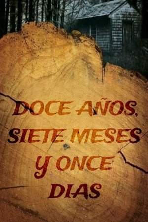 12 años, 7 meses y 11 días