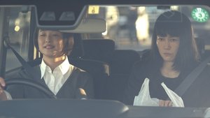 658km、陽子の旅