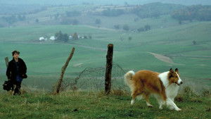 El regreso de Lassie