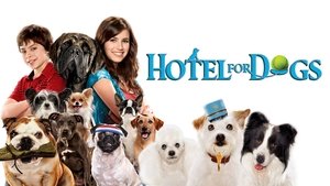 Hotel para perros