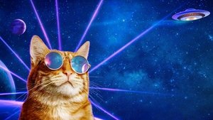 World's Funniest Animals