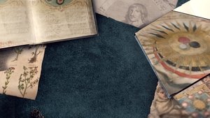 Harry Potter: una historia de magia