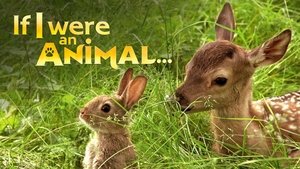 If I were an Animal